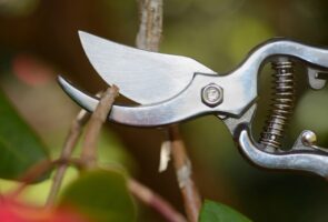 How-to-Sharpen-Garden-Shears-866042944-1444f4541b6c47bf977ba5e00c5db46e